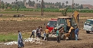 محافظ سوهاج يحيل المتهم بتبوير نصف فدان من الأرض الزراعية فى الصلعا للنيابة