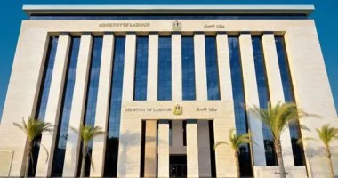مديرية العمل بالقليوبية: تشغيل 2397 شابا وتوفير 178 فرصة عمل جديدة خلال أبريل