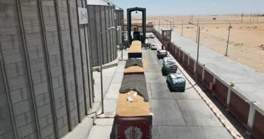 ملايين معلقة ونزاعات من التسعينيات.. تقرير يكشف أسباب انخفاض ربحية مطاحن القاهرة