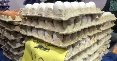 ننشر أسعار بيض المائدة اليوم الأحد في الأسواق المصرية