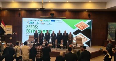 وزير التعليم العالي يطلق مبادرة “عضو هيئة تدريس لكل مصنع” لربط البحث العلمي بالصناعة