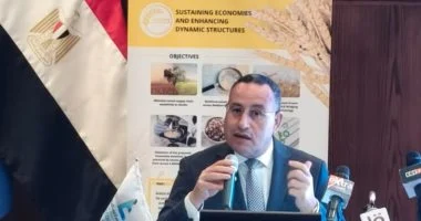 وزير التعليم العالي يعلن إطلاق مسارات جديدة للترقية المبنية على الابتكار