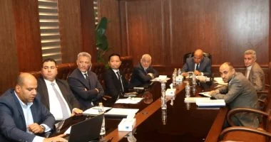 وزير الكهرباء يبحث مع «AMEA POWER» الإماراتية مستجدات تنفيذ مشروعات الطاقة المتجددة وتخزين الطاقة