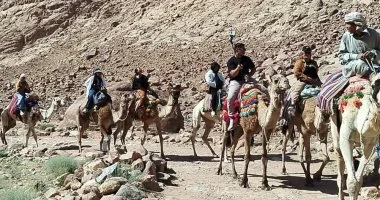 180 سائحا فى زيارة لدير سانت كاترين وجبل موسى