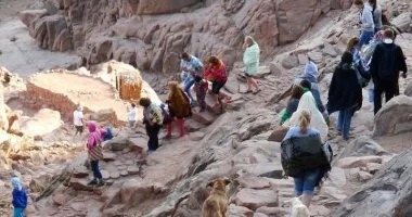 230 سائحا من مختلف الجنسيات لزيارة دير سانت كاترين وجبل موسى