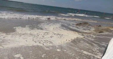 أول أيام الصيف رسميا.. ظهور زبد البحر فى شواطئ رأس البر تخطف أنظار الزوار