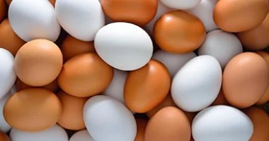 استقرار ملحوظ فى أسعار البيض بالأسواق والبلدى يواصل الصدارة اليوم الإثنين