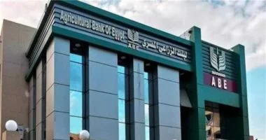 البنك الزراعي المصري والوكالة الألمانية للتعاون الدولي يختتمان برنامج التعاون لإدارة المخاطر البيئية والتمويل المستدام للمشروعات الصغيرة
