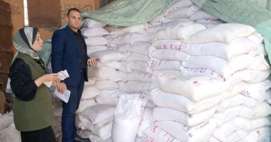 التحفظ على 15 طن ملح خشن بمعملين غير مرخصين وتحرير 130 مخالفة بالدقهلية