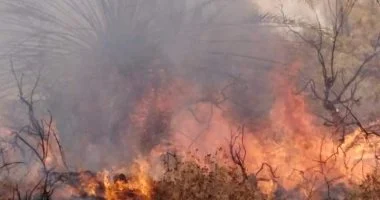 السيطرة على حريق محدود بأشجار ونخيل على حافة نهر النيل بشرق سوهاج