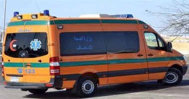 بينهم 3 أطفال.. أسماء مصابى عقر حيوان مفترس بقنا