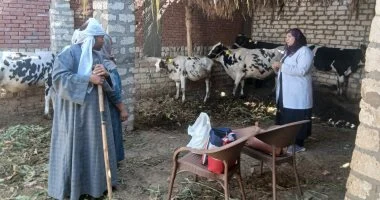 تحصين نحو 75 ألف رأس ماشية ضد مرضى الحمى القلاعية والوادى المتصدع بأسيوط