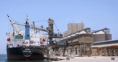 تداول 27 سفينة متنوعة داخل ميناء دمياط