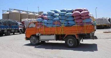 تموين المنوفية: توريد 146 ألف 500 طن قمح منذ بدء موسم الحصاد