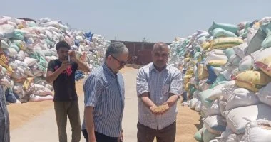توريد 657 ألفا و770.5 طن من محصول القمح لشون وصوامع الشرقية