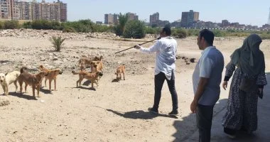 حملة ميدانية لتحصين الكلاب ضد مرض السعار بـ4 مراكز فى كفر الشيخ