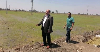 خطة لزراعة 50 ألف فدان أرز من أصناف موفرة للمياه بالدقهلية