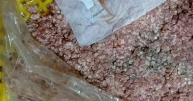 خلال يومين فقط.. صحة الإسكندرية تضبط 12 ألف طن من الأغذية غير المطابقة