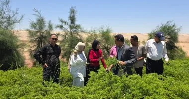 رئيس بلاط يتفقد أحد مشروعات الاستثمار الزراعى المتخصصة بقطاع النباتات الطبية