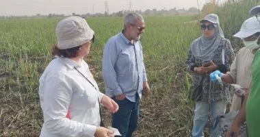 زراعة الأقصر تستعرض حصاد الأنشطة الميدانية والإنتاجية وخدمة المزارعين
