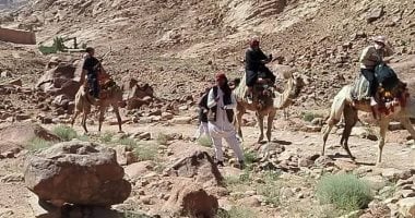 سانت كاترين تستقبل 207 سائحين لزيارة دير سانت كاترين وجبل موسى