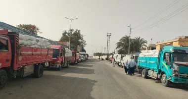 شون وصوامع الأقصر تستقبل 25 ألف طن قمح بنسبة 76% من السعة التخزينية