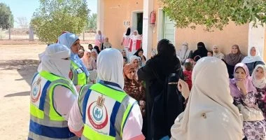 صحة الوادى الجديد: وفد مركز المعلومات يختتم أعمال تقييم مبادرة الألف يوم الذهبية بالمحافظة