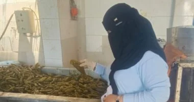 ضبط 10.4 طن مخللات مجهولة المصدر داخل مصنع غير مرخص بالقصاصين في الإسماعيلية