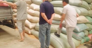 ضبط أكثر من 100 طن قمح واستبعاد شحنات غير مطابقة للمواصفات بالمنيا