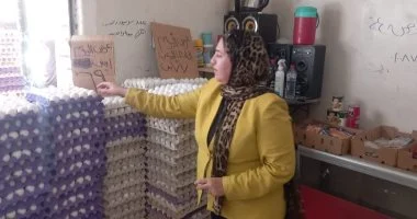 ضبط أكثر من 2 طن دقيق ودهون ودواجن مجهولة المصدر بحملات تموينية في القليوبية