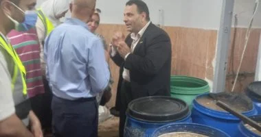 ضبط أكثر من 29 طنا من الأغذية واللحوم والدواجن الفاسدة بالإسكندرية