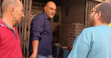 ضبط ربع طن دواجن غير صالحة للاستهلاك ولحوم مذبوحة خارج المجازر فى بنها