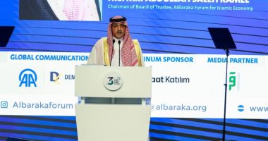 عبدالله صالح كامل: تركز الثروة والديون السيادية يكشفان اختلال النموذج الاقتصادي السائد