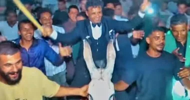 عريس يدخل حفل زفافه بحمار في قنا وأقاربه: “الفكرة هزار”