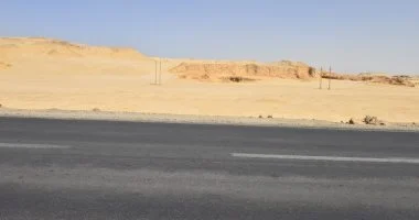 مأوى الكلاب الضالة بأسيوط.. خطة حل الأزمة واستغلال مساحة 5 آلاف متر مربع