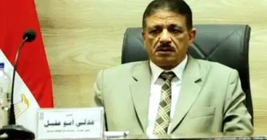 محافظ الوادى الجديد: تعيين عدلى أبو عقيل سكرتيرًا عامًا للمحافظة