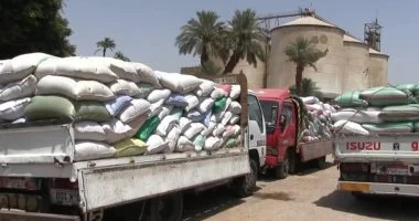 محافظ سوهاج: توريد 184 ألف قمح إلى الشون والصوامع